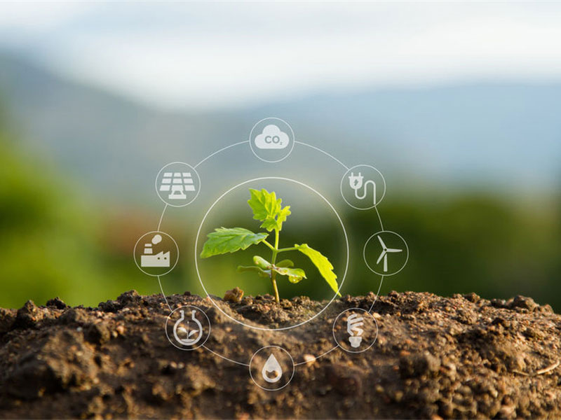 Soil Chemical Analysis