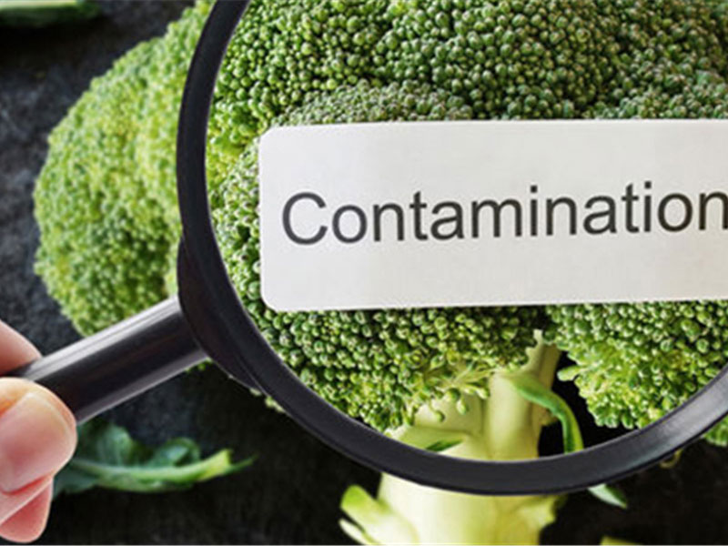 Food Contaminants Testing