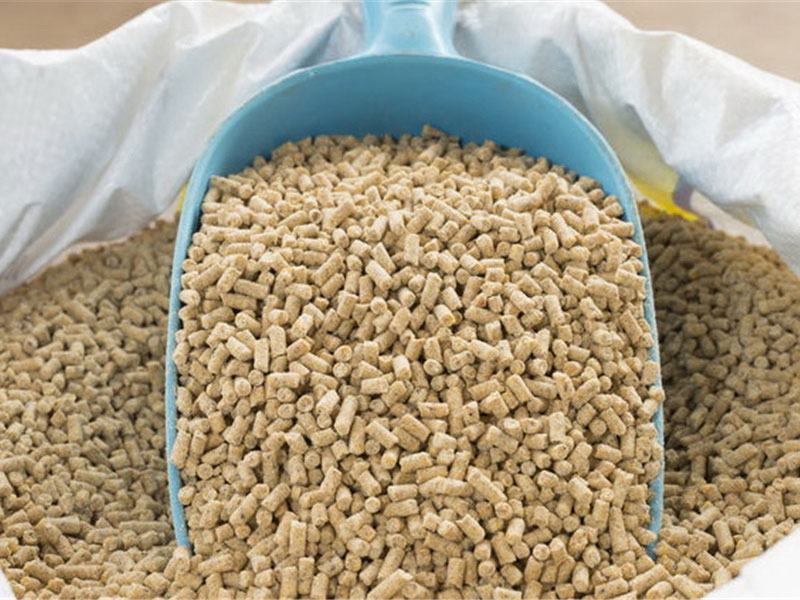 Mycotoxin in Feed Testing