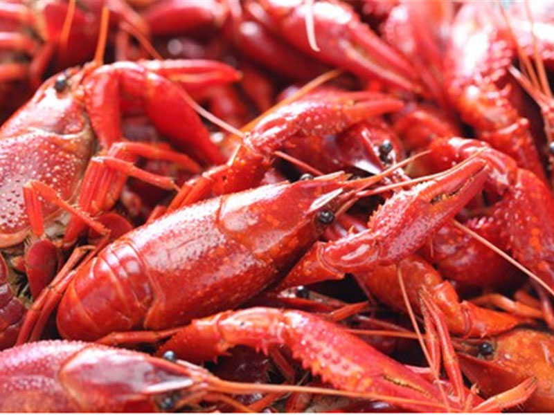 Detection of Package of Red Swamp Crayfish