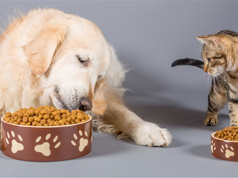 Pet Food Hygienic Index Testing
