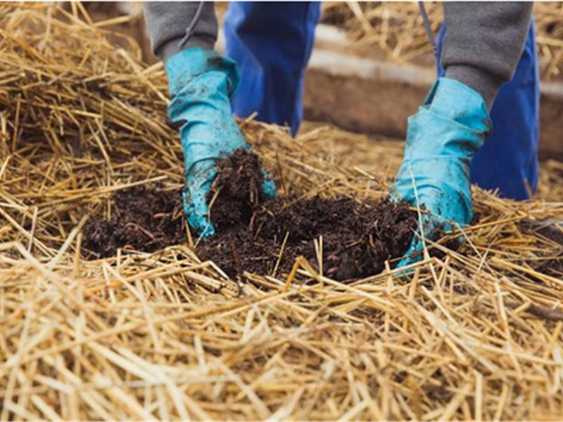 Organic Fertilizer Quality Testing