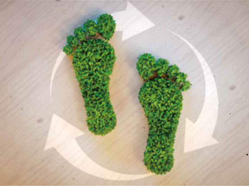 PAS 2050 Product Carbon Footprint Verification