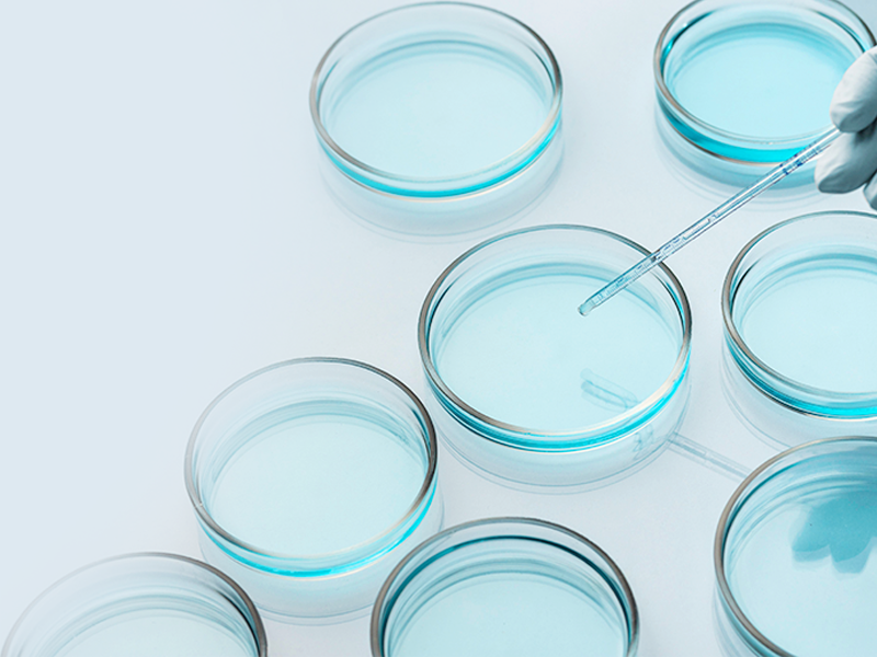 Composition Analysis of Cell Culture Media/Fluids