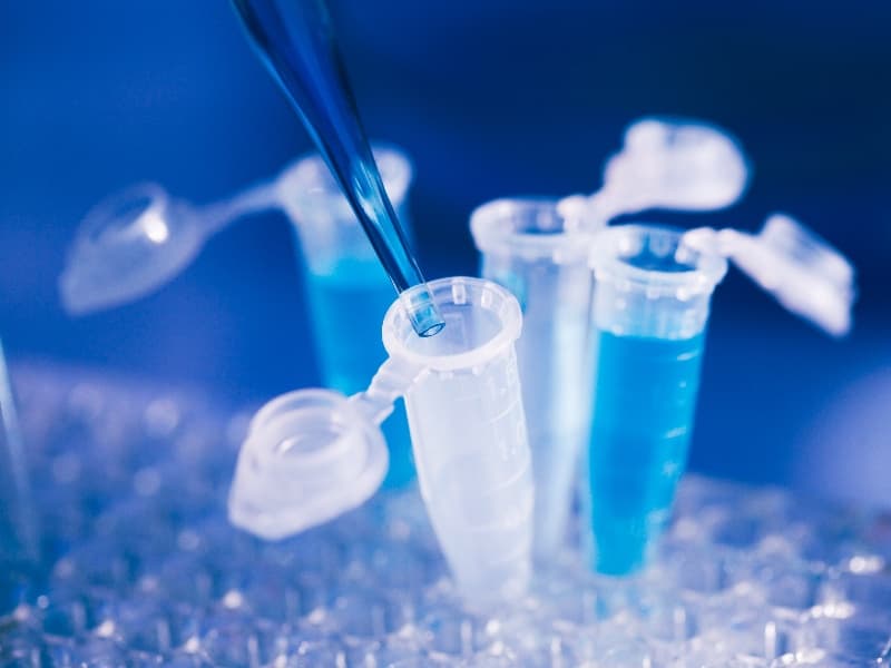 In vitro cytotoxicity test