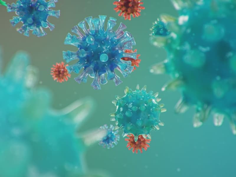 Mycoplasma Testing