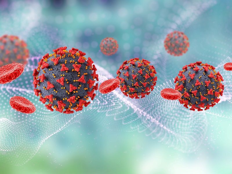 Virus removal/inactivation validation study