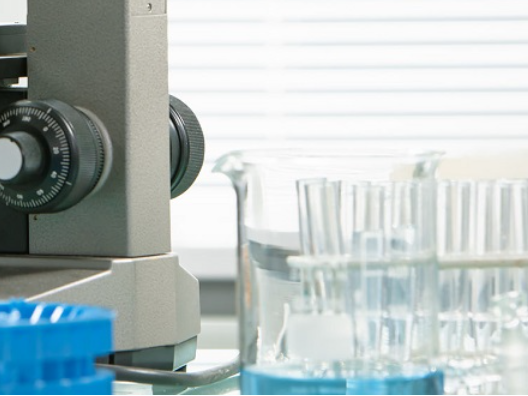 Determination of “Canada Prohibition of Certain Toxic Substances Regulations 2012”