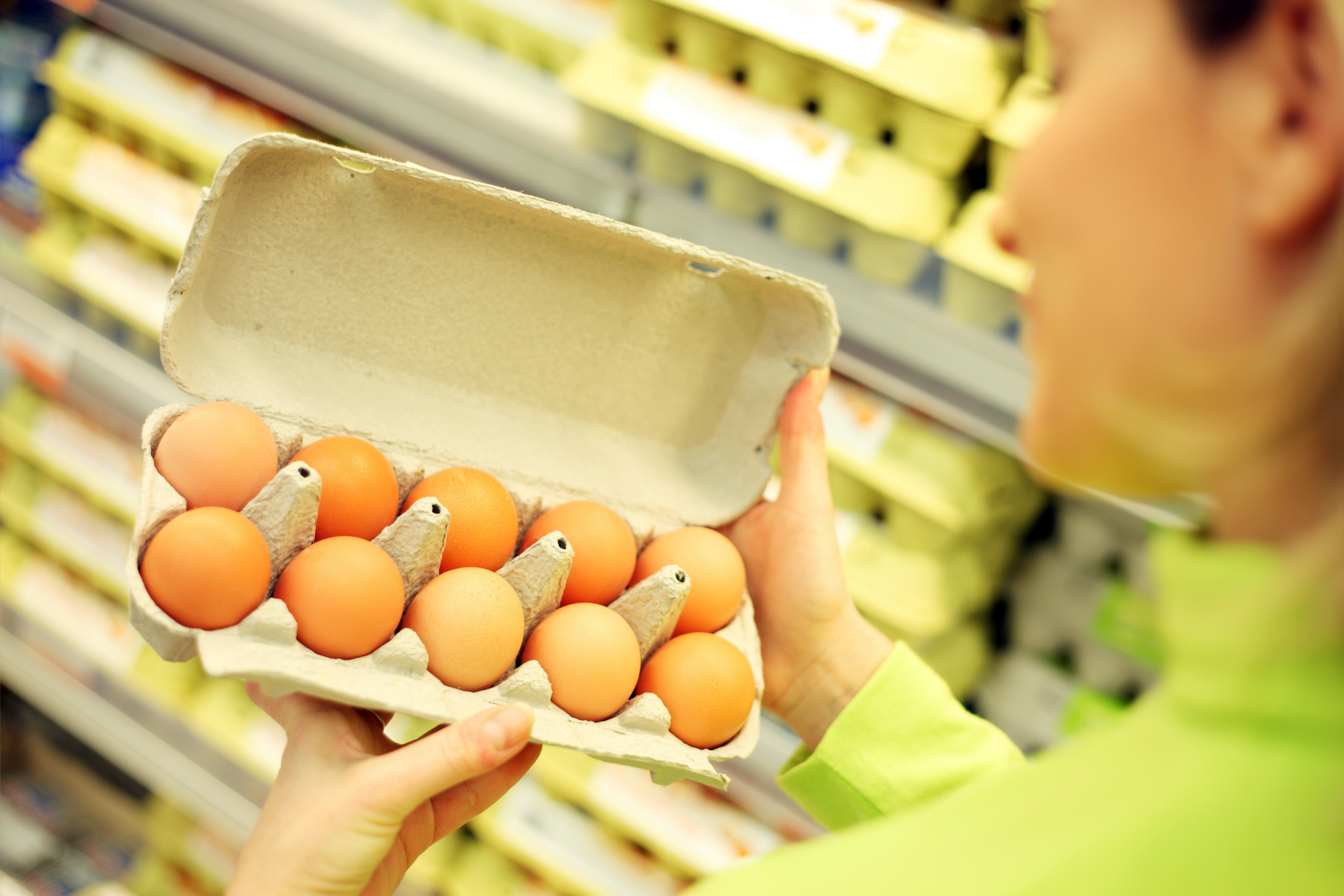 韩政府拟禁传统市场活鸡交易 预防禽流感疫情发展