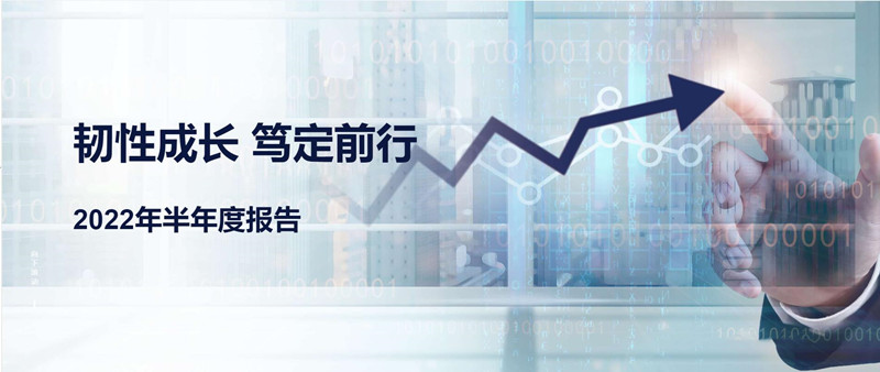 一图看懂丨CTI华测检测2022年半年度报告