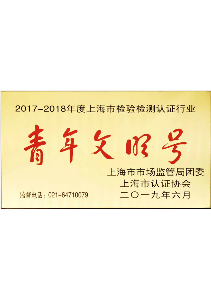 上海市检验检测认证行业青年文明号