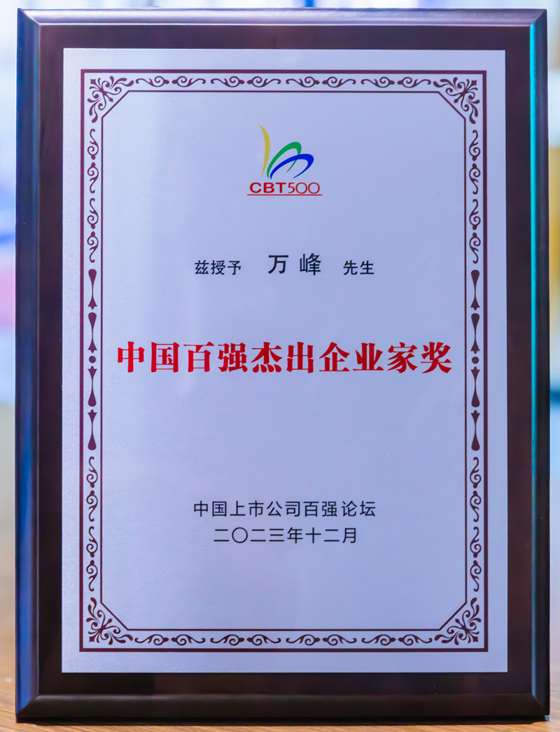 中国百强杰出企业家奖