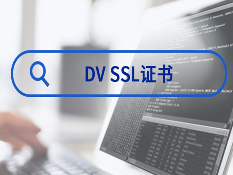 DV SSL证书