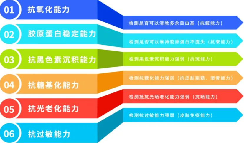 别再盲目跟风护肤博主啦，如何护肤得先了解自己的六大能力！