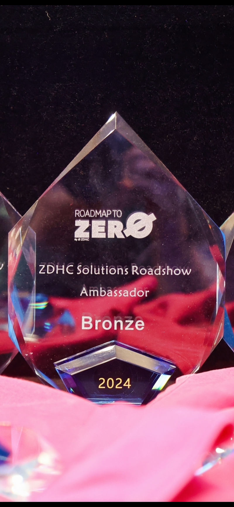 ZDHC Solutions Roadshow Ambassador奖项