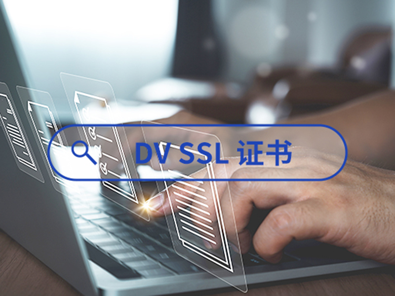 DV SSL证书