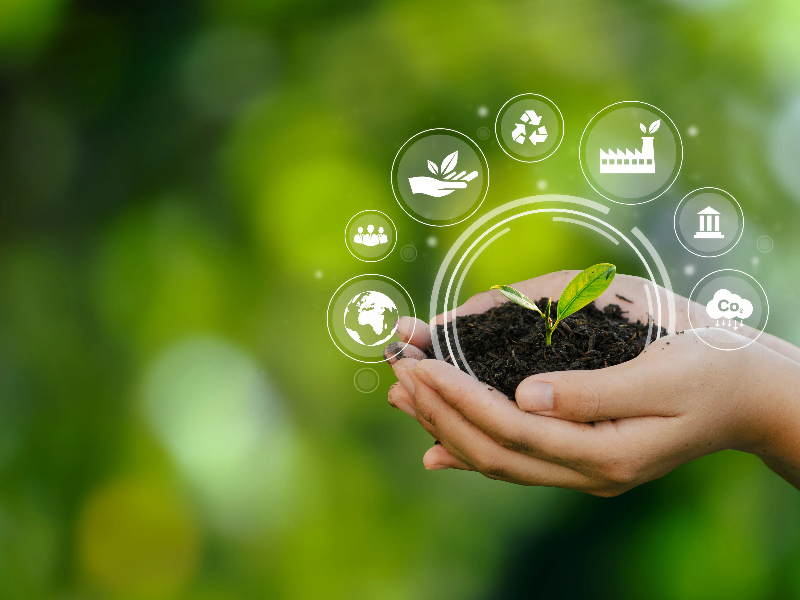EcoVadis 问卷填报服务