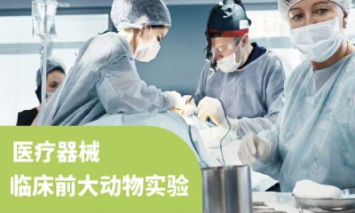 临床前大动物实验医疗器械检测服务