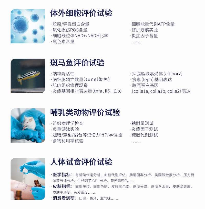 功能验证服务｜CTI华测检测解决您的免疫力类食品验证难题