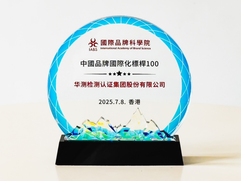 中国品牌国际化标杆100