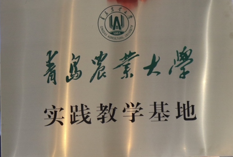 CTI华测检测x青岛农业大学产学研合作基地合作