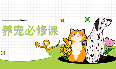 【养宠必修课】(第1期）▏孕期母猫的行为变化和情绪管理