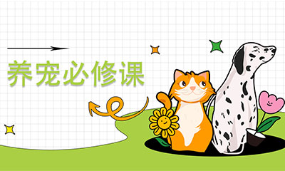 【养宠必修课】(第2期）▏母猫怀孕期间的体重管理及注意事项