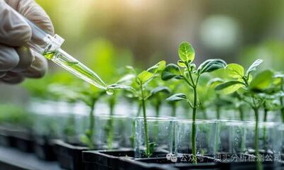 告别植物制样烦恼：华测澳实专业制样为科研扫清障碍