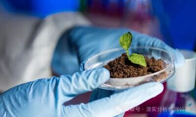 别被元素总量 “误导”！元素形态分析，沉积物中元素的“真实状态”