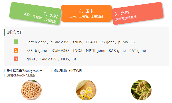 微信截图_20190520152335.png