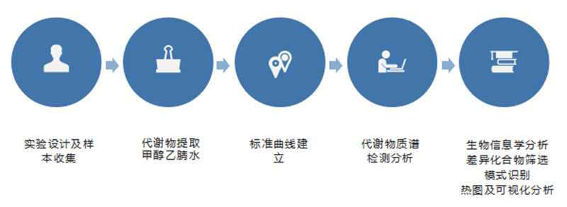  靶向定量检测流程